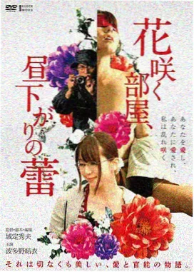 国产剧情长片合集封面
